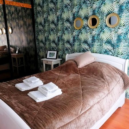 Cocoon Guest House Vendas Novas Ngoại thất bức ảnh